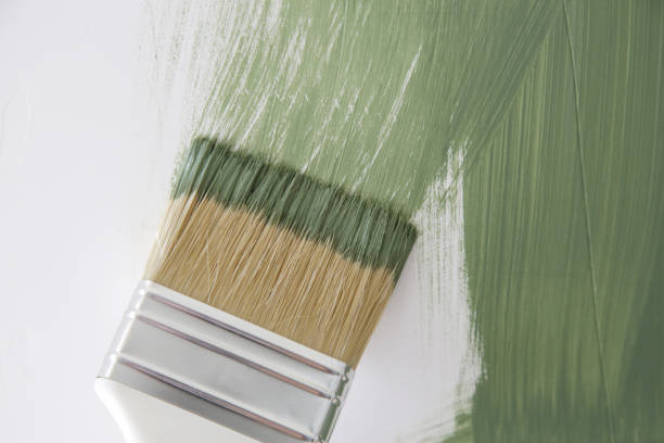 Best Mold Prevention Services  in Lake Lorraine, FL