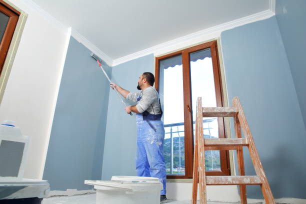 Best Mold Damage Restoration  in Lake Lorraine, FL