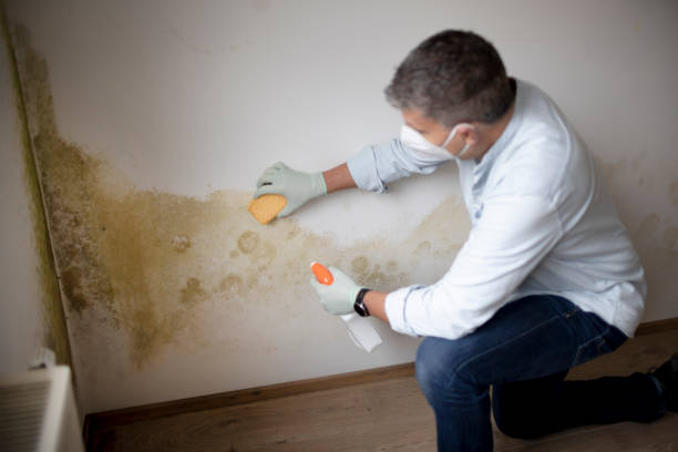 Best Asbestos and Lead Testing During Mold Inspection  in Lake Lorraine, FL