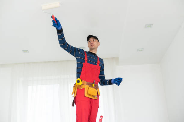Best Real Estate Mold Inspection  in Lake Lorraine, FL