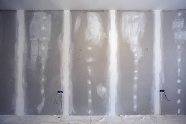 Best Comprehensive Air Testing for Mold Contaminants  in Lake Lorraine, FL