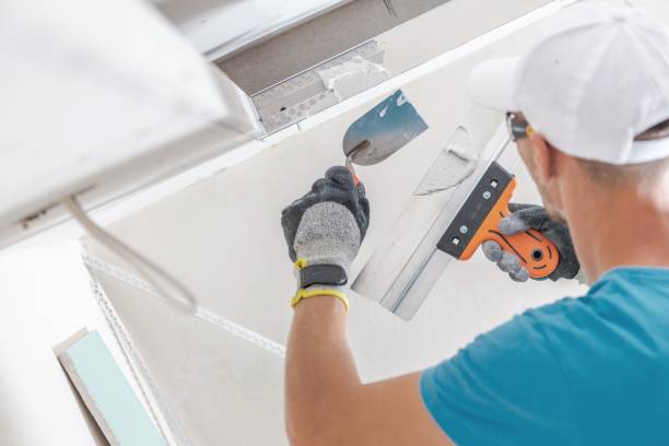  Lake Lorraine, FL Mold Removal Pros